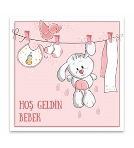 Hoşgeldin Kız Bebek Mesaj Kartı
